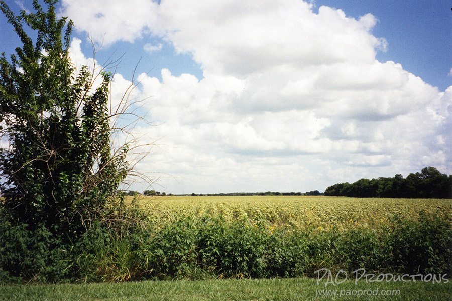 View off Mesquite Valley Road in Mesquite, TX, 1995