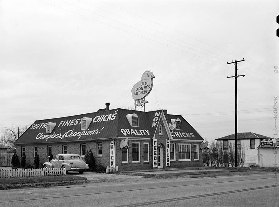 Jim Drew's Hatchery in Dallas, 1942.  Photo by Arthur Rothstein.