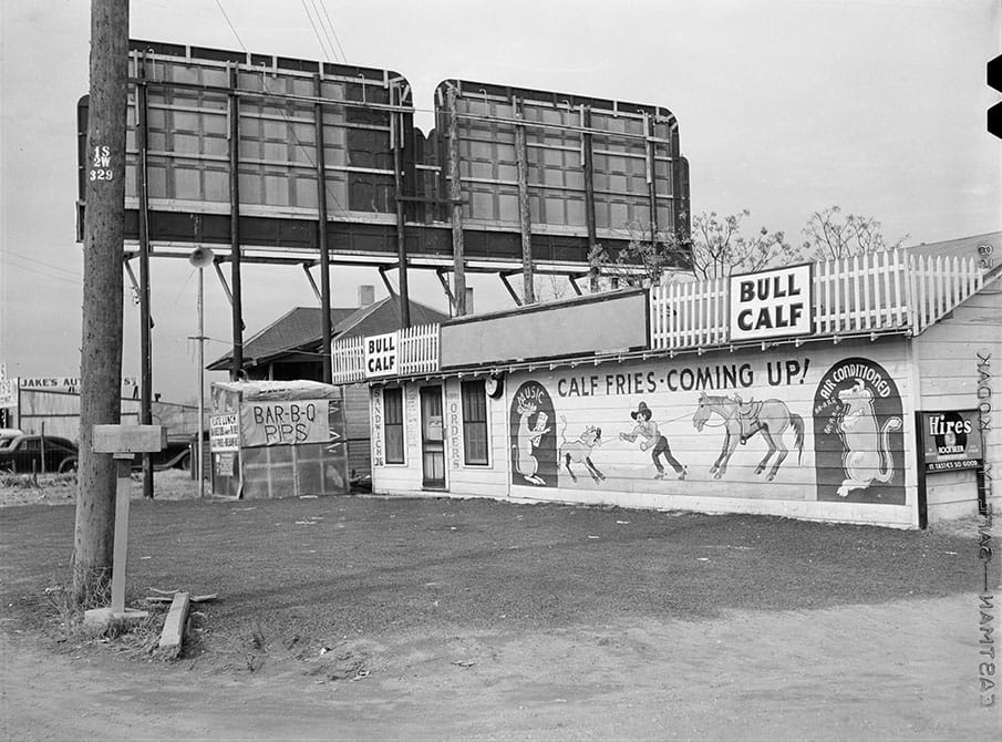 The Bull Calf in Dallas, 1942.  Photo by Arthur Rothstein.