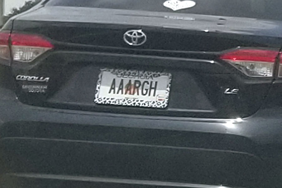 More funny license plates