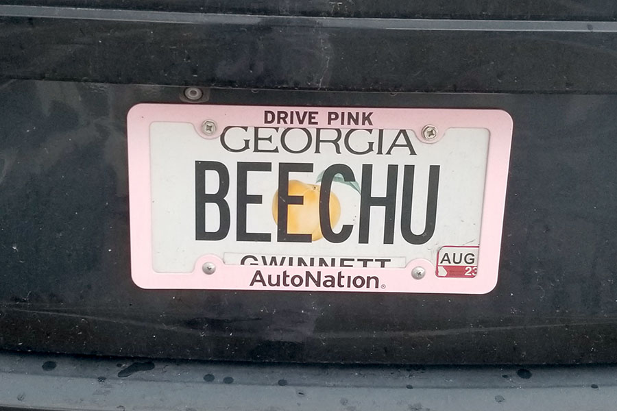 More funny license plates