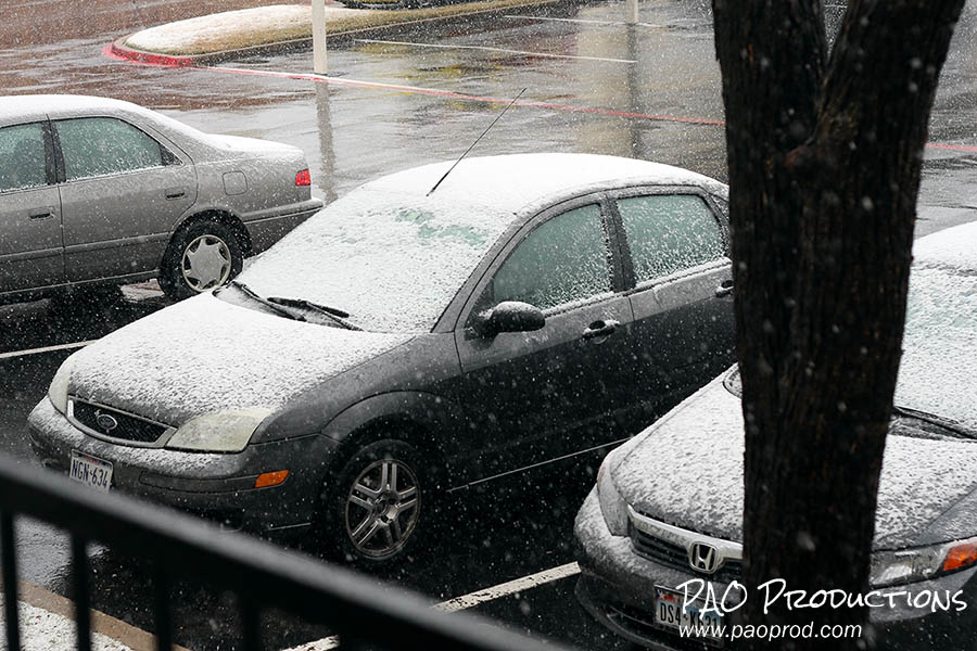 Snow day in Dallas, Texas, December 25, 2012