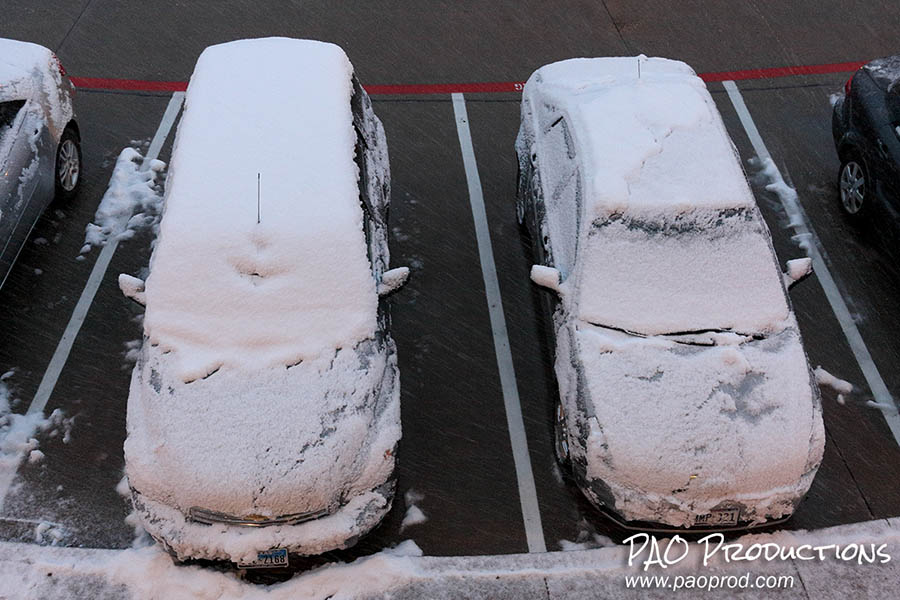 Snow day in Allen, Texas, February 11, 2010