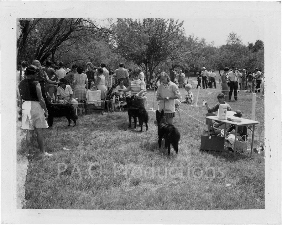 Dog show in Mesquite, Texas, 1970