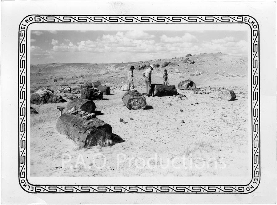 Petrified Forest, unknown date