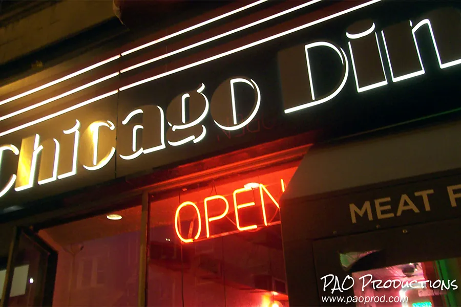 Chicago Diner at 3410 N Halsted Street, 2010