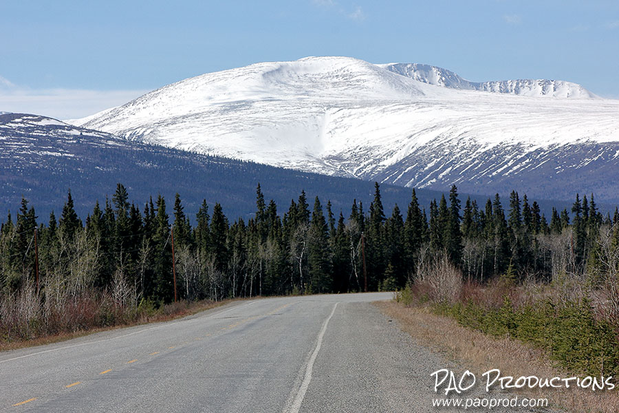 View from Alaska Highway in the Yukon, 2024
