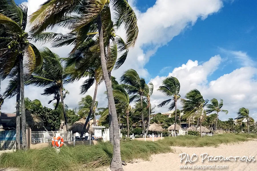 Lauderdale-By-The-Sea, 2015
